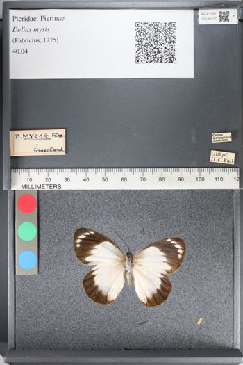 Media type: image;   Entomology 130417